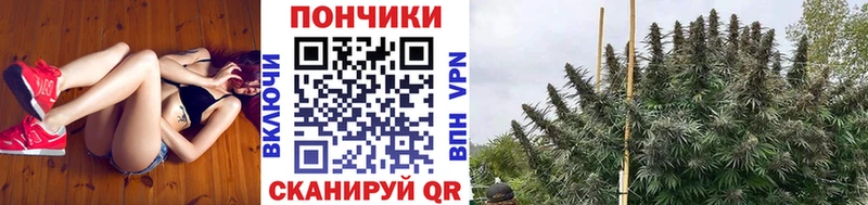 Конопля планчик  kraken зеркало  Комсомольск-на-Амуре 
